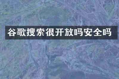 谷歌搜索很开放吗安全吗