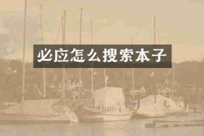 必应怎么搜索本子