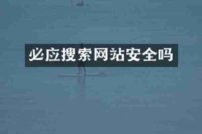 必应搜索网站安全吗