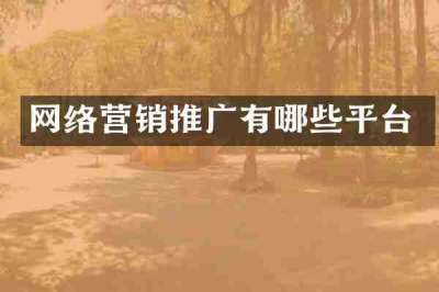 网络营销推广有哪些平台