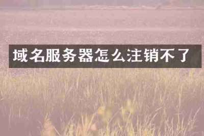 域名服务器怎么注销不了