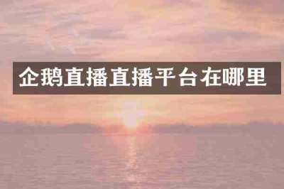 企鹅直播直播平台在哪里