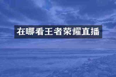 在哪看王者荣耀直播