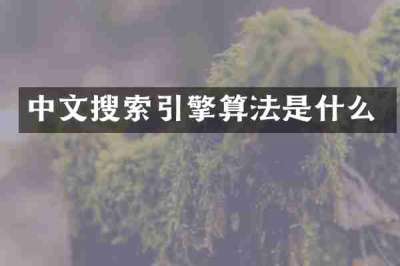 中文搜索引擎算法是什么