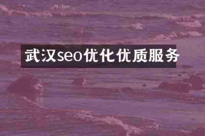武汉seo优化优质服务
