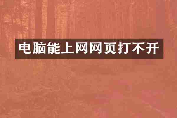 电脑能上网网页打不开