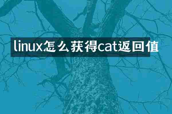 linux怎么获得cat返回值