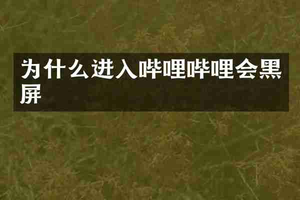 为什么进入哔哩哔哩会黑屏