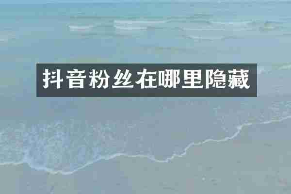 抖音粉丝在哪里隐藏