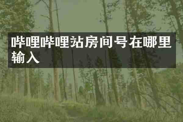 哔哩哔哩站房间号在哪里输入