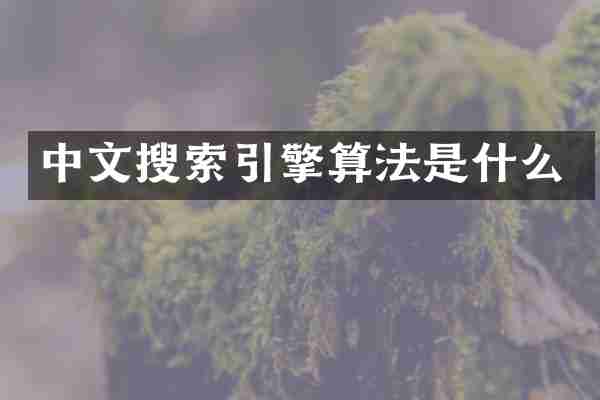 中文搜索引擎算法是什么