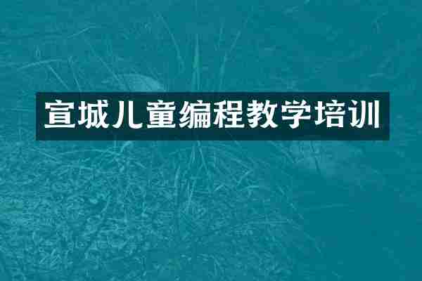 宣城儿童编程教学培训