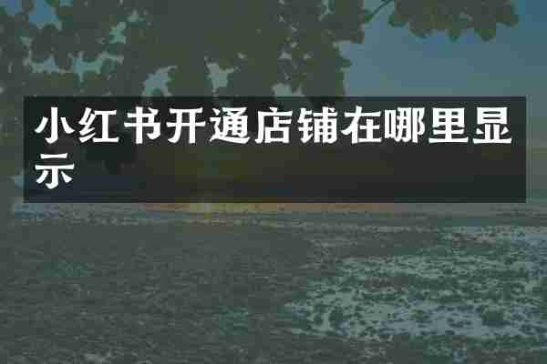 小红书开通店铺在哪里显示