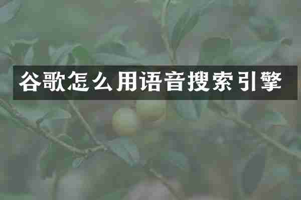 谷歌怎么用语音搜索引擎