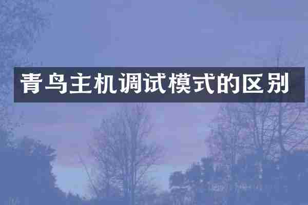 青鸟主机调试模式的区别