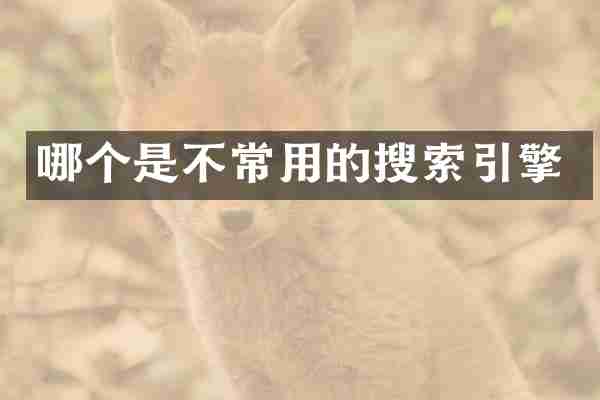 哪个是不常用的搜索引擎