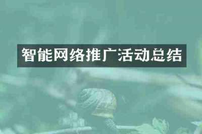 智能网络推广活动总结