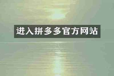 进入拼多多官方网站