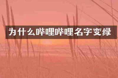 为什么哔哩哔哩名字变绿