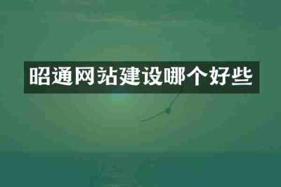 昭通网站建设哪个好些