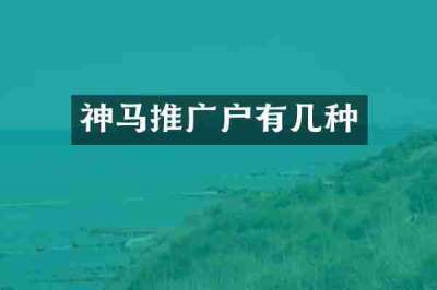 神马推广户有几种