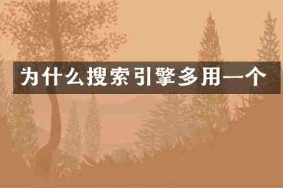 为什么搜索引擎多用一个