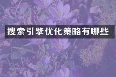 搜索引擎优化策略有哪些