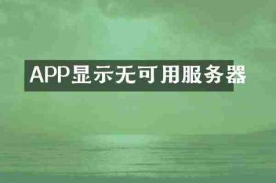 APP显示无可用服务器