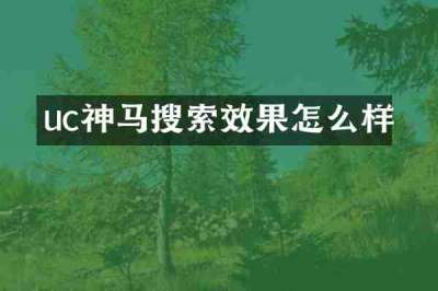 uc神马搜索效果怎么样