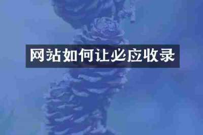 网站如何让必应收录