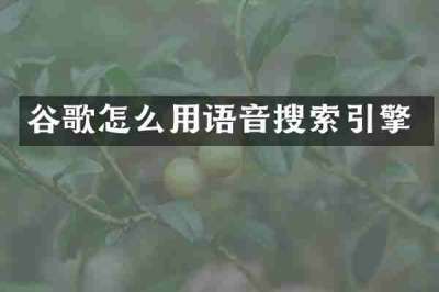 谷歌怎么用语音搜索引擎