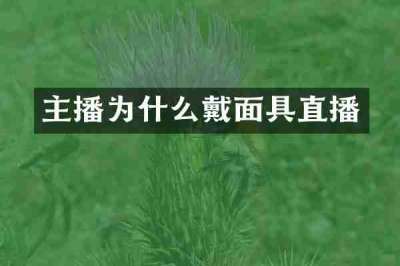 主播为什么戴面具直播