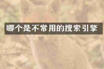 哪个是不常用的搜索引擎