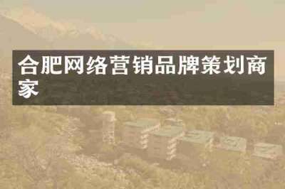 合肥网络营销品牌策划商家