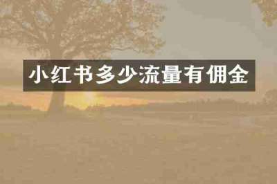 小红书多少流量有佣金