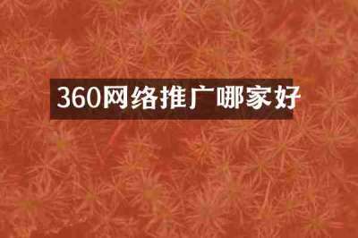 360网络推广哪家好