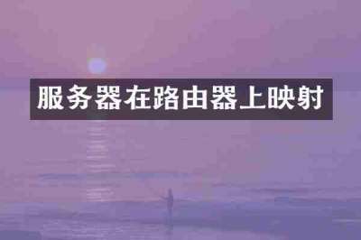 服务器在路由器上映射