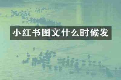 小红书图文什么时候发