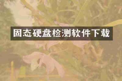 固态硬盘检测软件下载