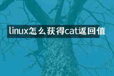 linux怎么获得cat返回值
