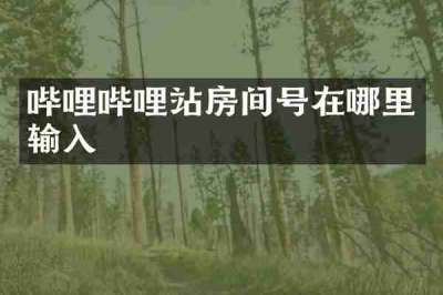 哔哩哔哩站房间号在哪里输入