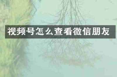 视频号怎么查看微信朋友