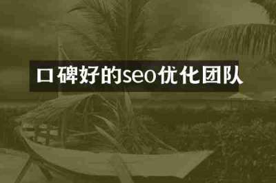 口碑好的seo优化团队