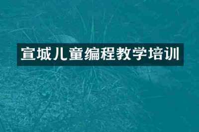 宣城儿童编程教学培训