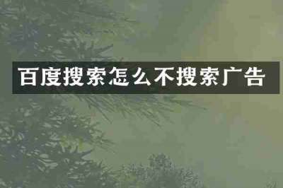 百度搜索怎么不搜索广告