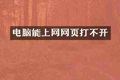电脑能上网网页打不开