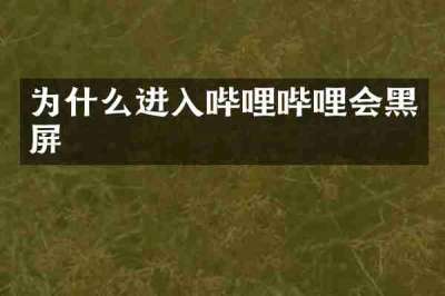 为什么进入哔哩哔哩会黑屏
