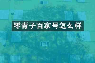零青子百家号怎么样