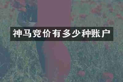 神马竞价有多少种账户