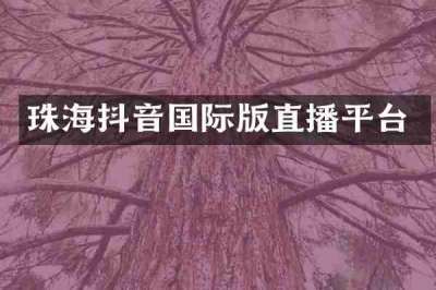 珠海抖音国际版直播平台
